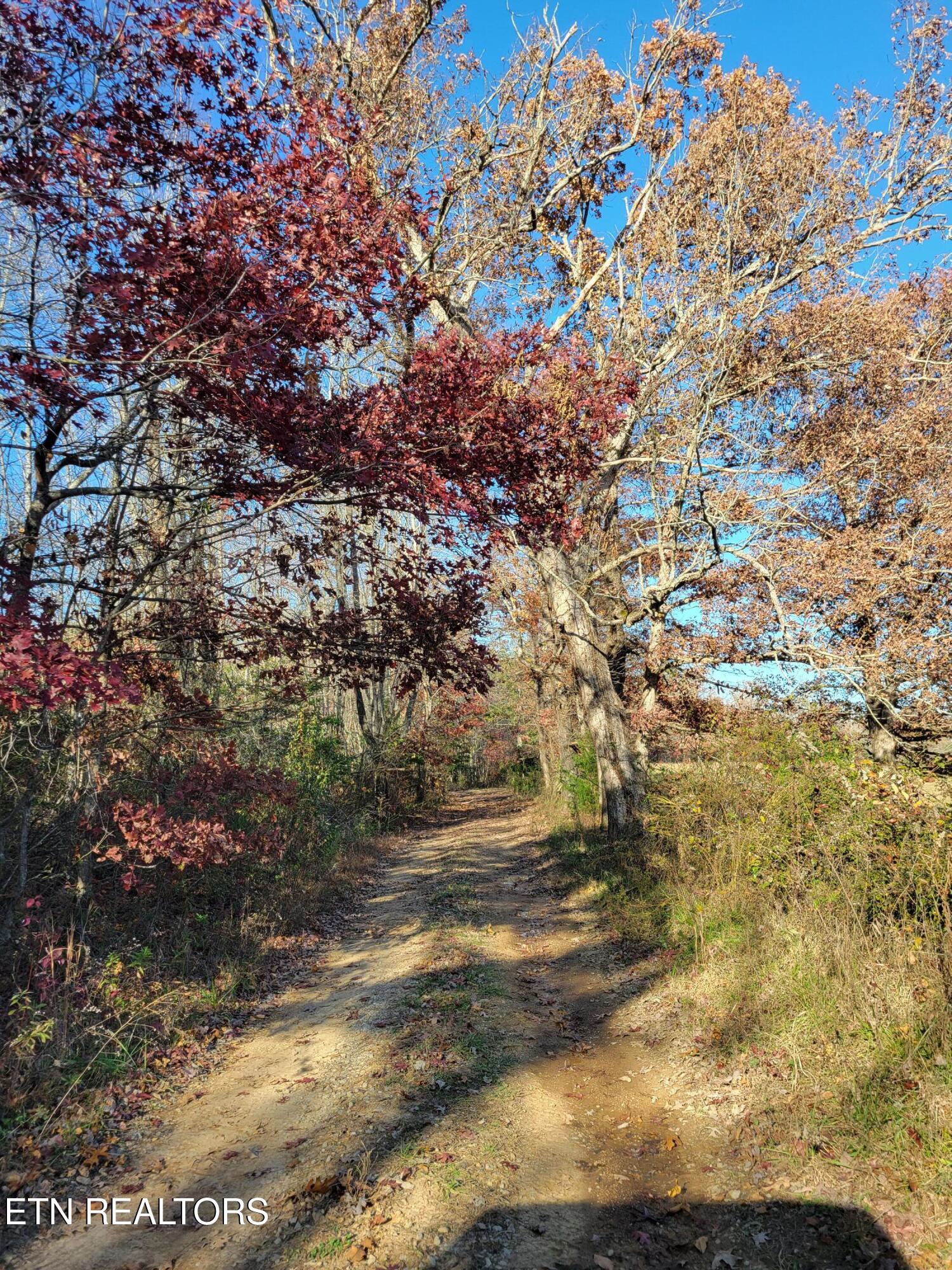 Kidd Mill Road Oneida, TN 37841 - Photo 22 of 24 Kidd Mill Rd view 8