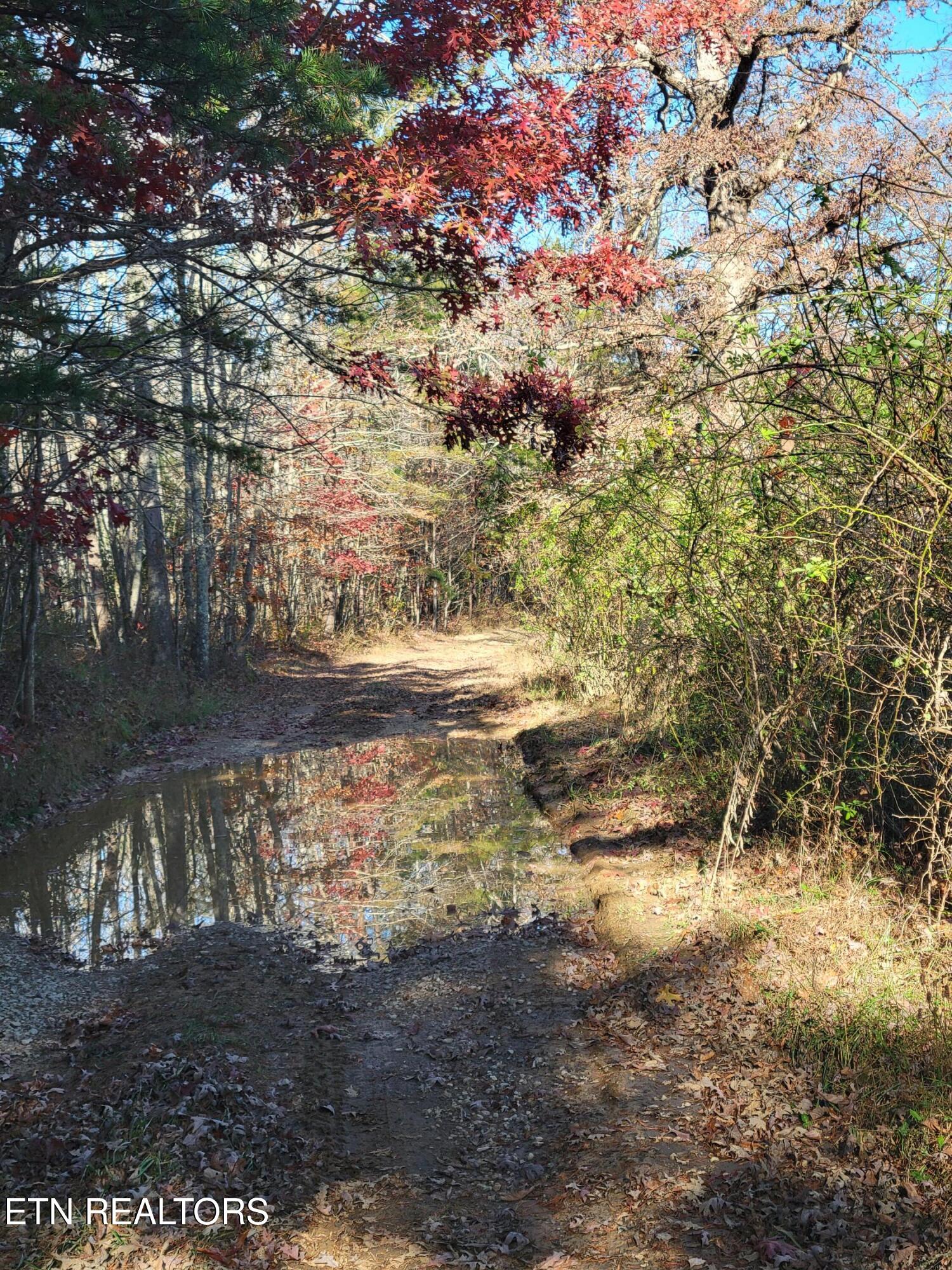 Kidd Mill Road Oneida, TN 37841 - Photo 24 of 24 Kidd Mill Rd view 10