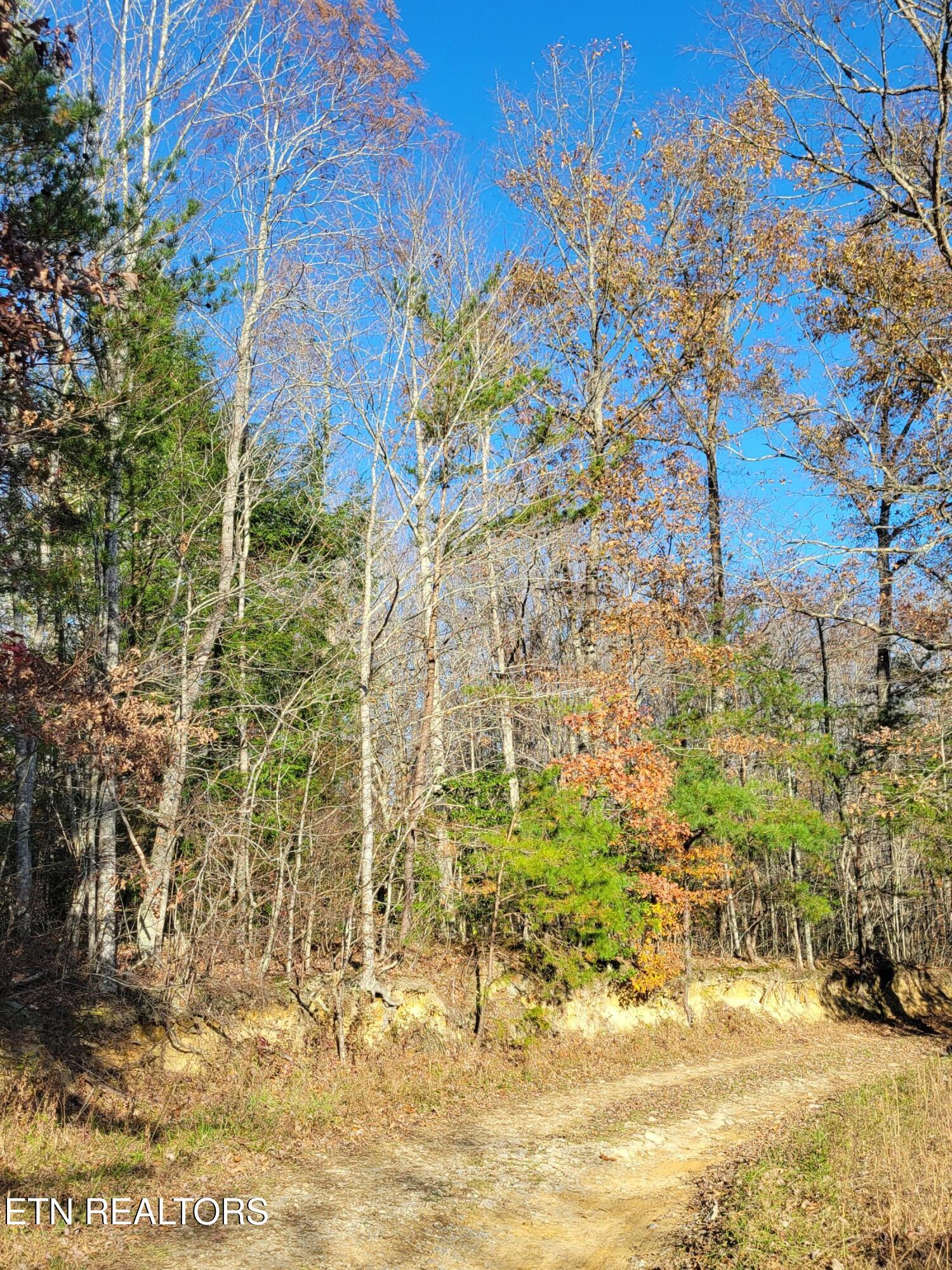 Kidd Mill Road Oneida, TN 37841 - Photo 4 of 24 Property view 4