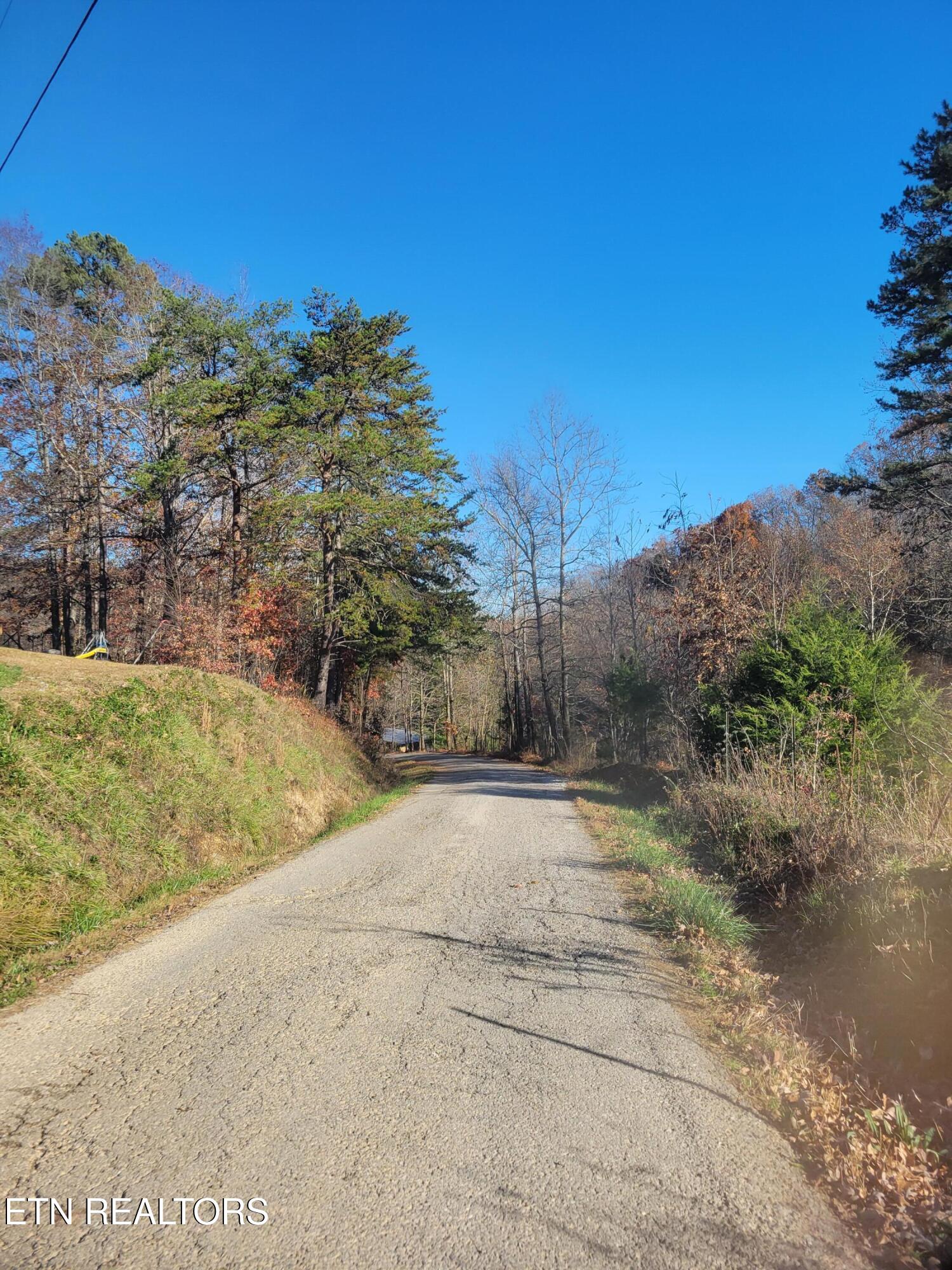 Kidd Mill Road Oneida, TN 37841 - Photo 7 of 24 Willie Boyatt Rd view 2
