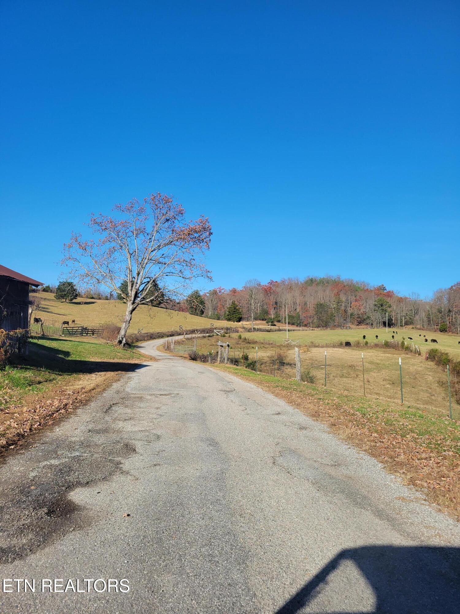 Kidd Mill Road Oneida, TN 37841 - Photo 9 of 24 Willie Boyatt Rd view 4