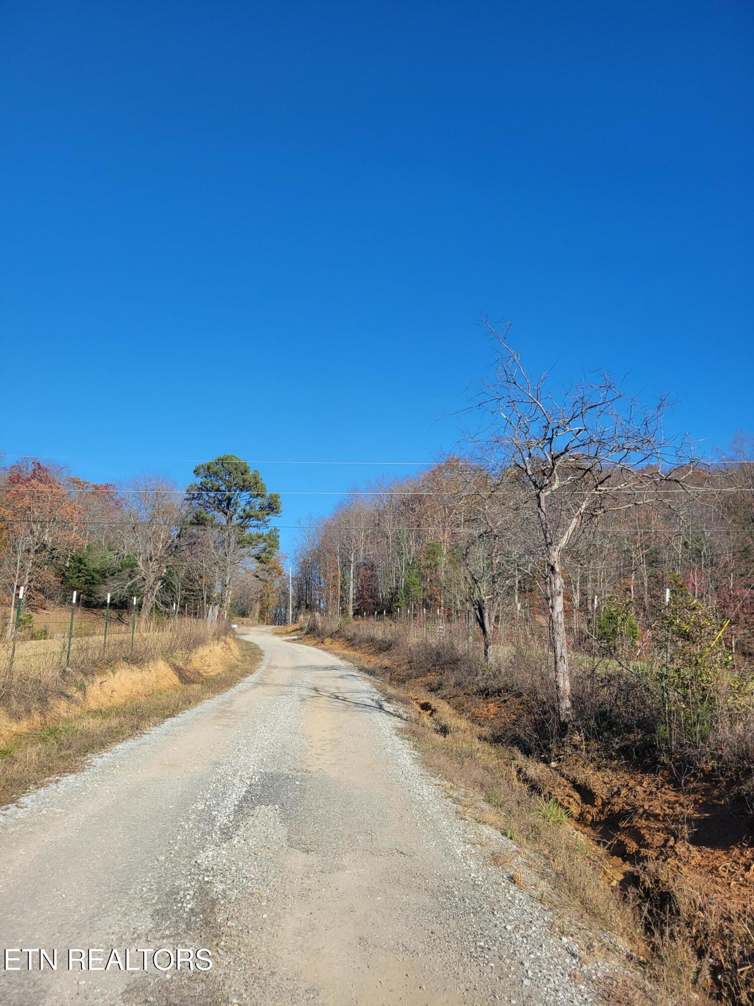 Kidd Mill Road Oneida, TN 37841 - Photo 10 of 24 Willie Boyatt Rd view 5
