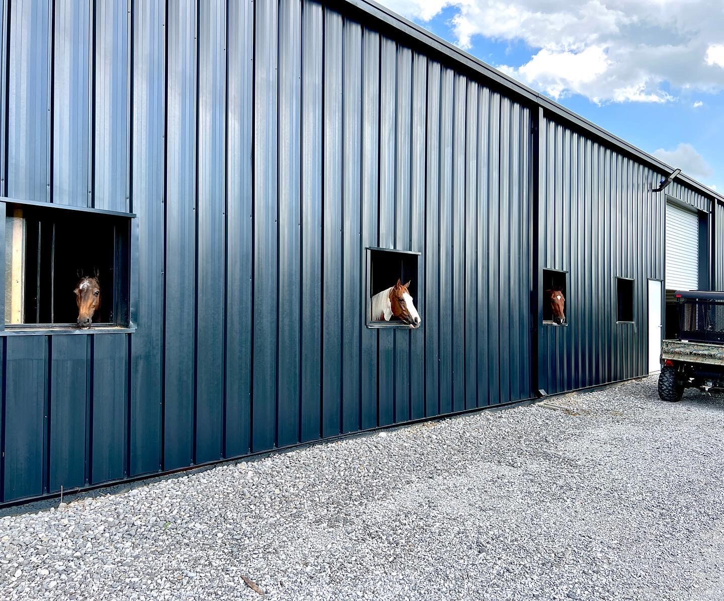 527 Reads Lake Road Chattanooga, TN 37415 - Photo 58 of 100 Horses peeking out of barn