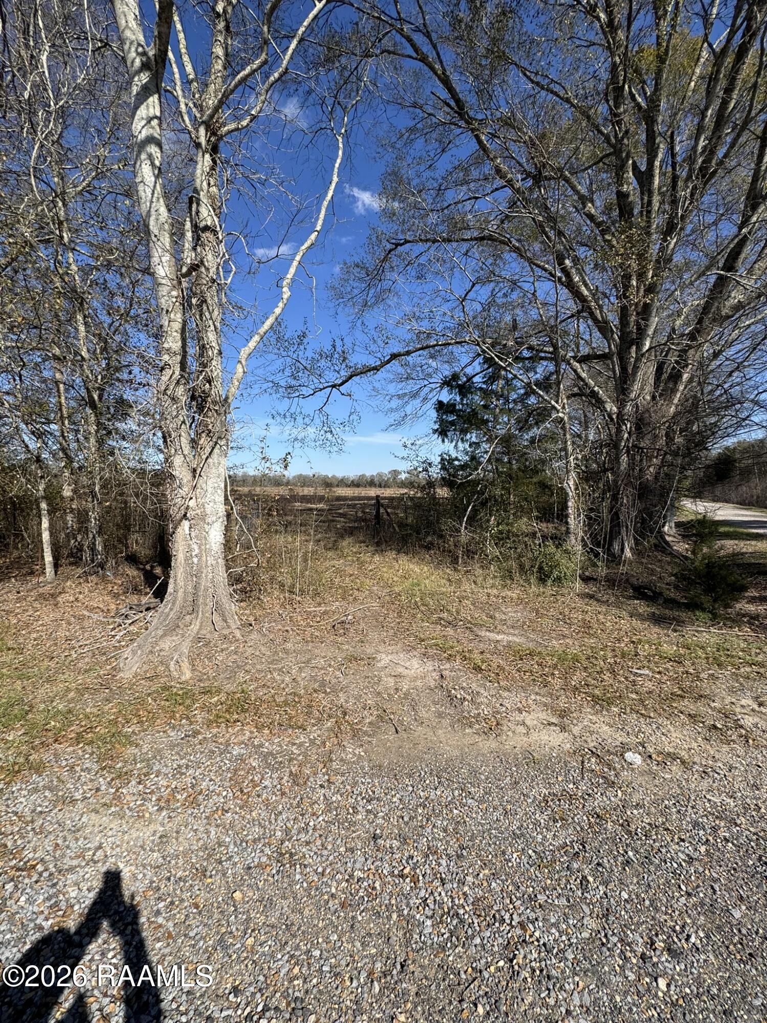 224 Dawn Road Opelousas, LA 70570 - Photo 6 of 8 View