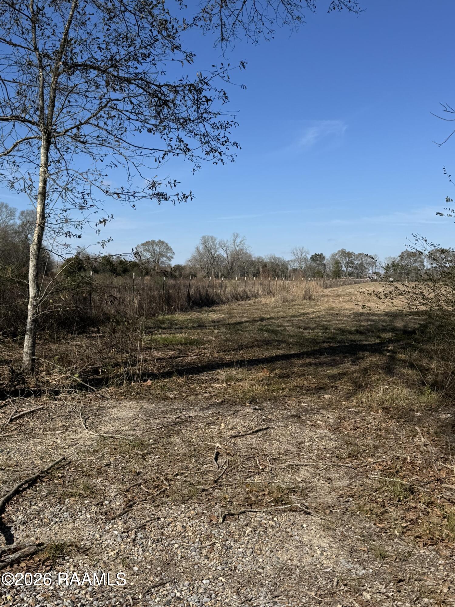 224 Dawn Road Opelousas, LA 70570 - Photo 8 of 8 View