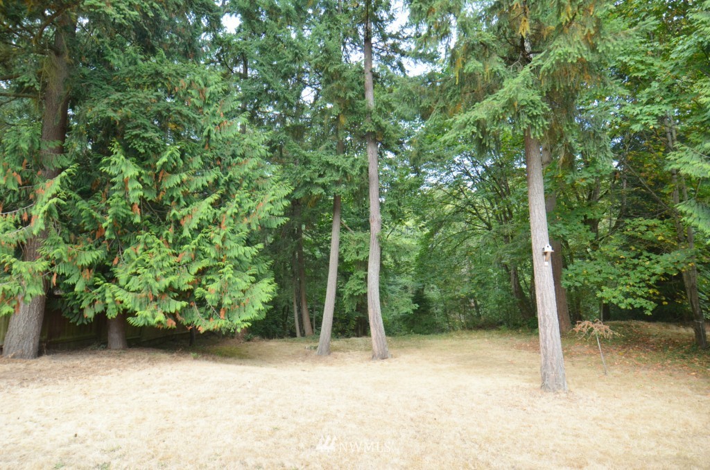 14036 Southeast 141st Street Renton, WA 98059 - Photo 15 of 15
