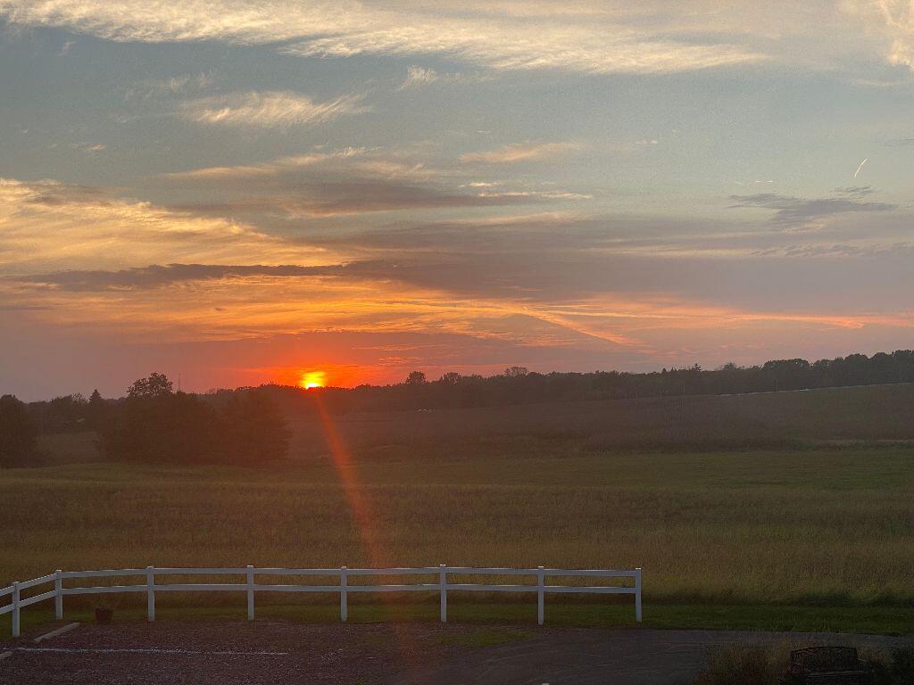 4959 Miller Road Ann Arbor, MI 48103 - Photo 105 of 140 sunset
