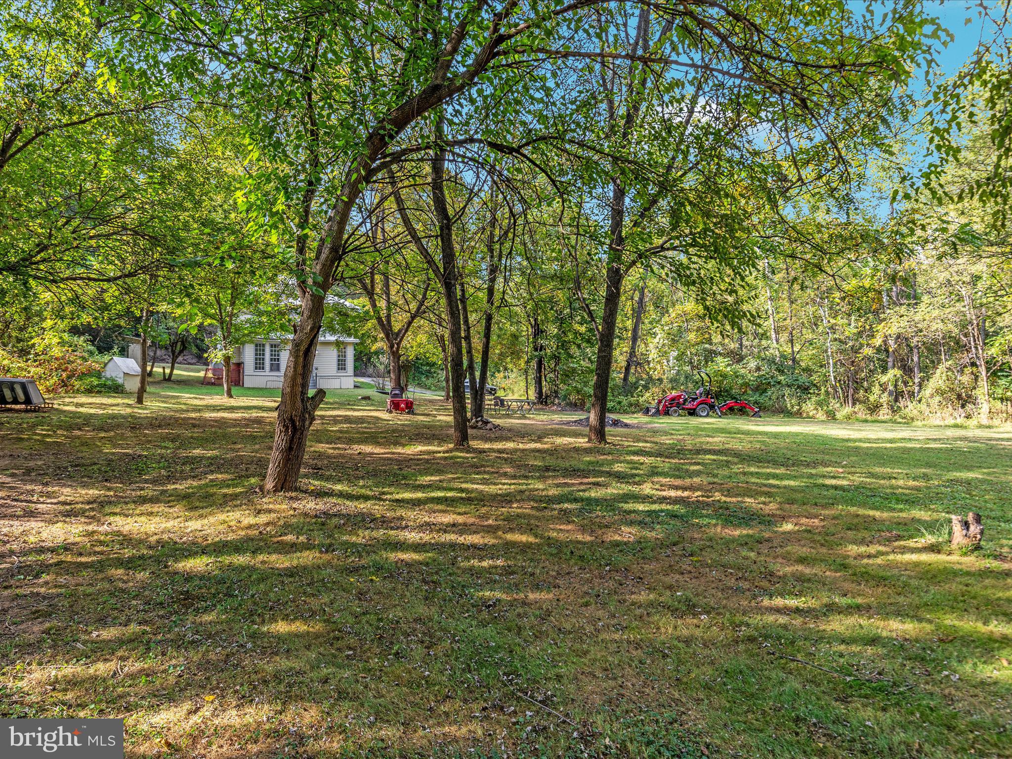 141 Back Creek Road Gore, VA 22637 - Photo 31 of 53 a view of a trees with a house