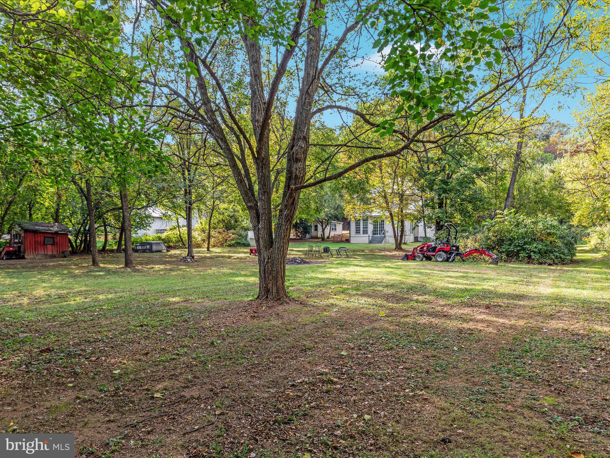 141 Back Creek Road Gore, VA 22637 - Photo 32 of 53 a view of a tree in the middle of a yard
