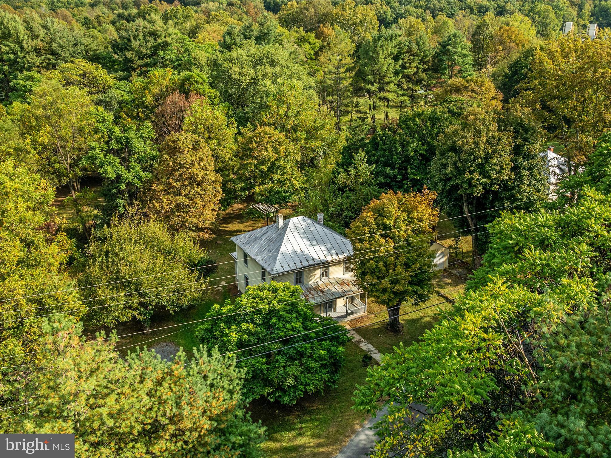 141 Back Creek Road Gore, VA 22637 - Photo 41 of 53 a view of a garden