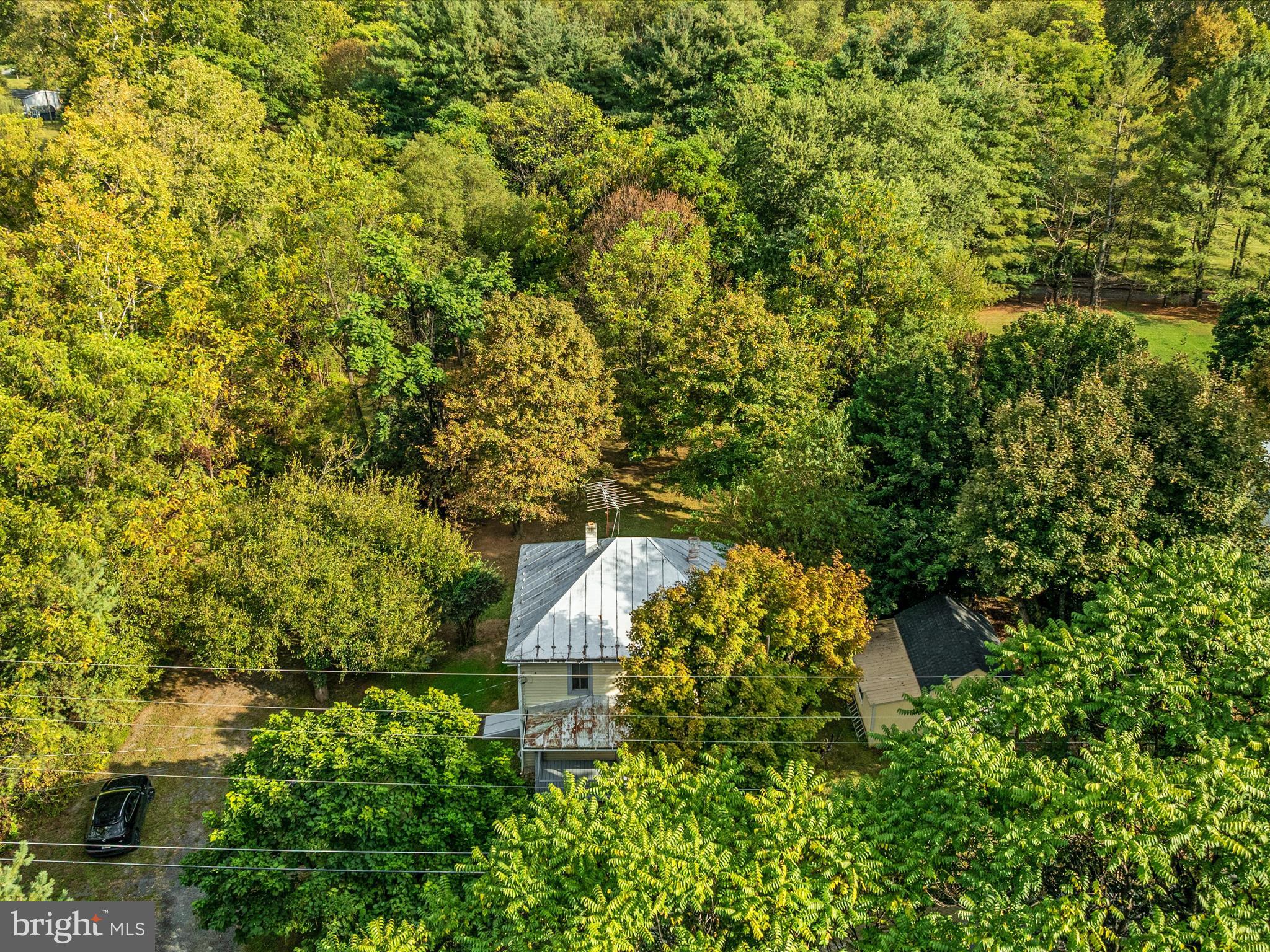 141 Back Creek Road Gore, VA 22637 - Photo 49 of 53 a view of a tree in a garden