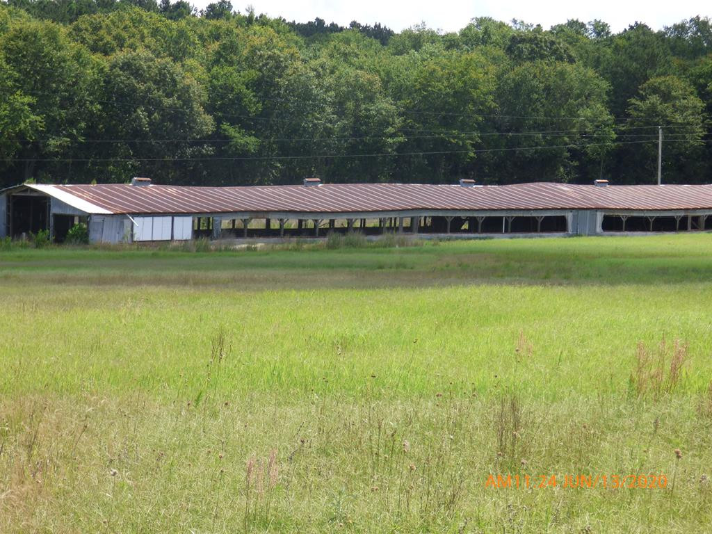 1615 Dairy Road Monetta, SC 29105 - Photo 26 of 30