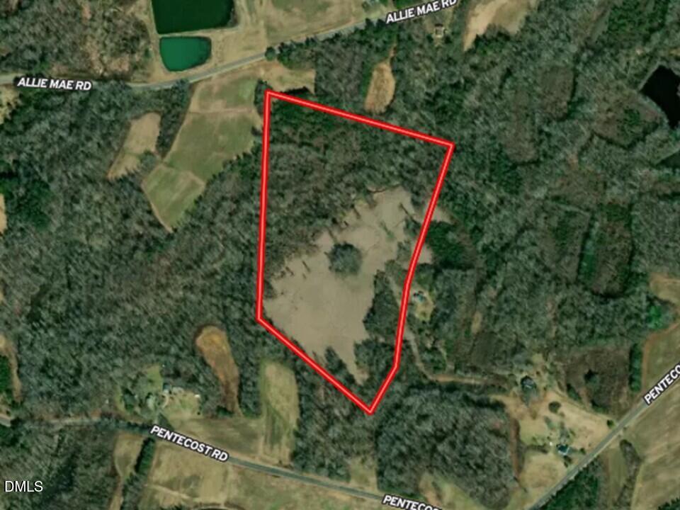 0 Pentecost Road Cedar Grove, NC 27231 - Photo 29 of 45