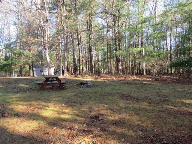 a view of a yard with trees