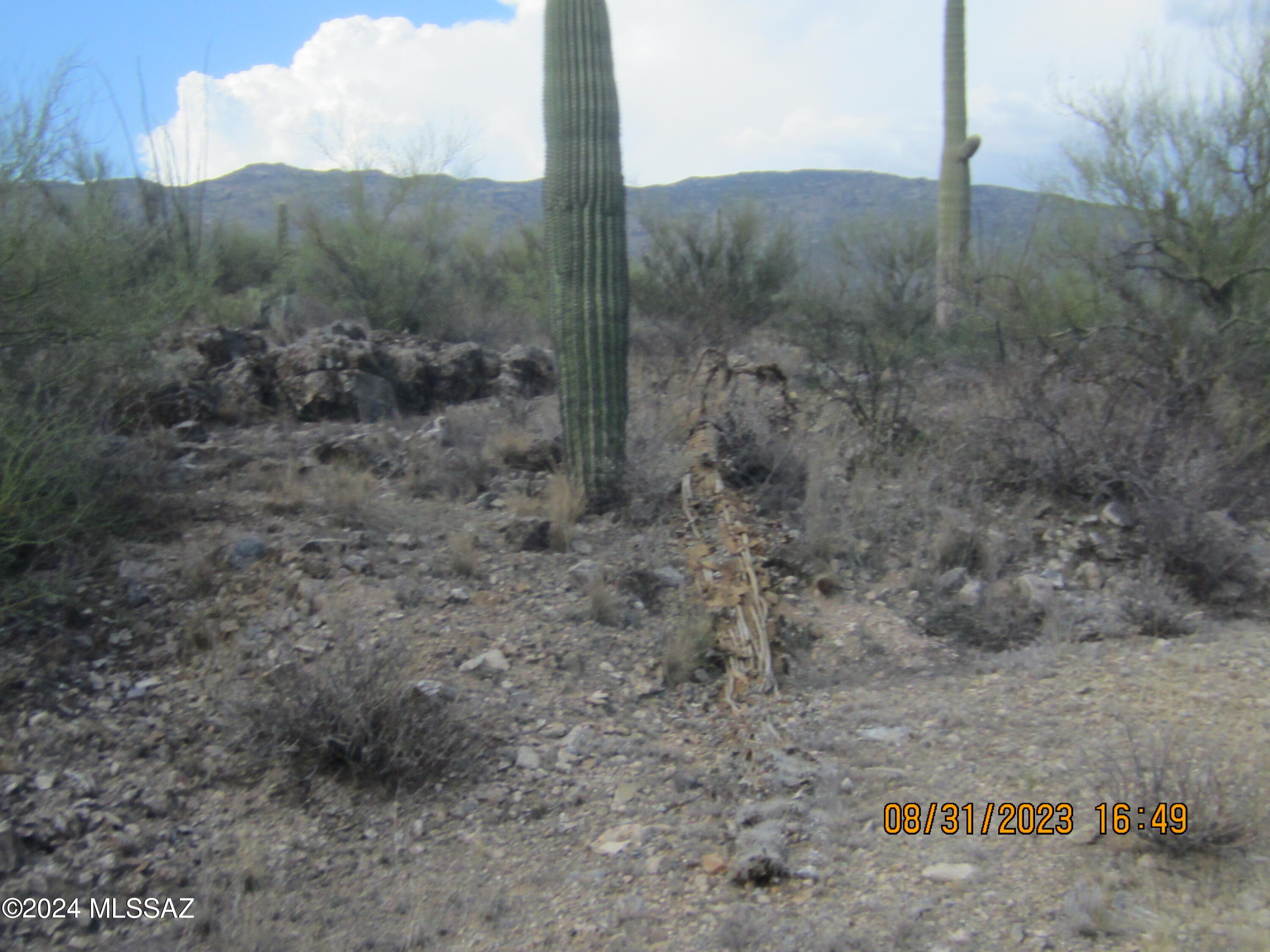 0 East Rincon Creek Ranch Road Tucson, AZ 85747 - Photo 30 of 46 Gallery Image 30