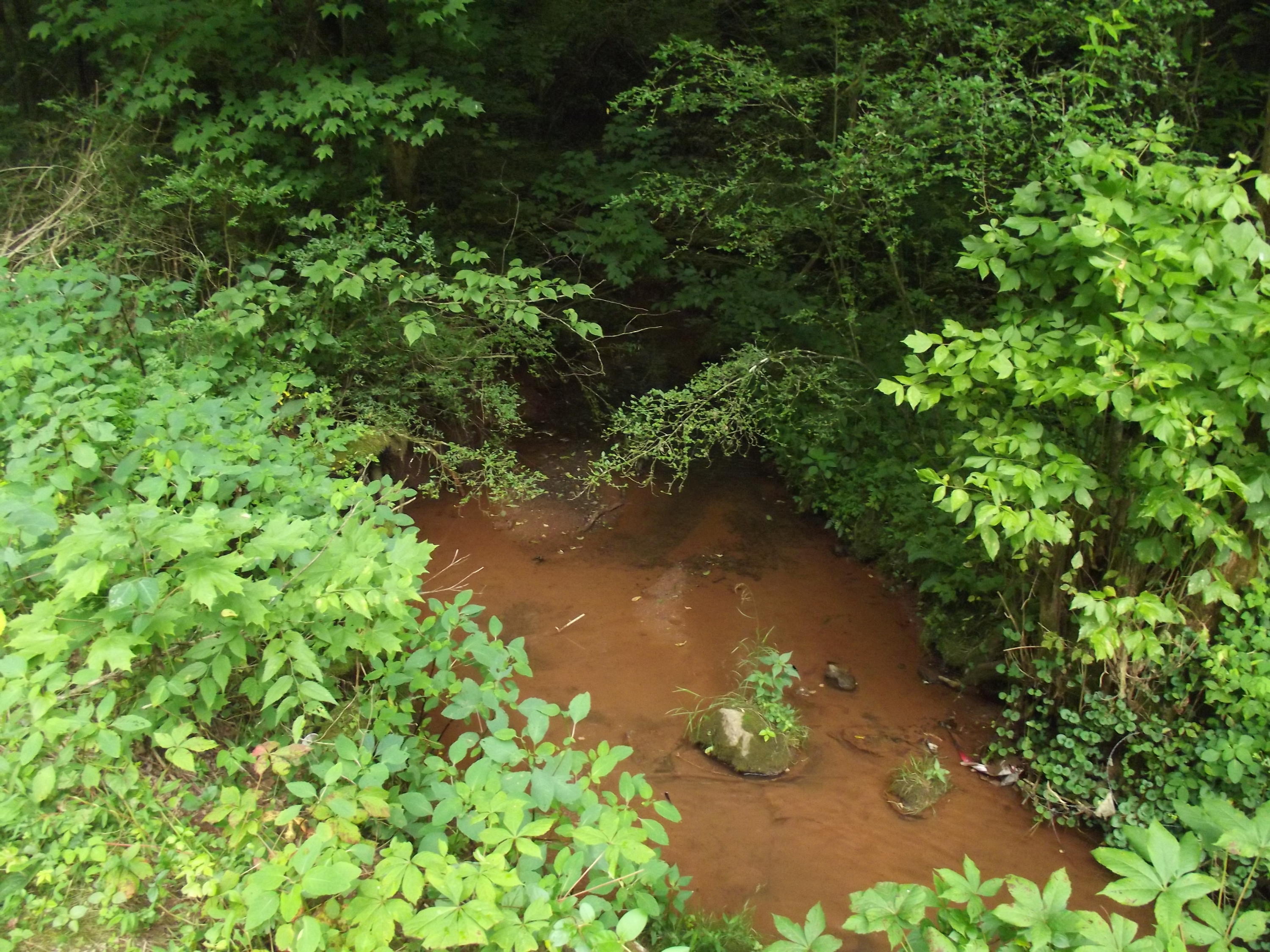1589 Hiwassee Road Sweetwater, TN 37874 - Photo 22 of 22 10-DSCF1924