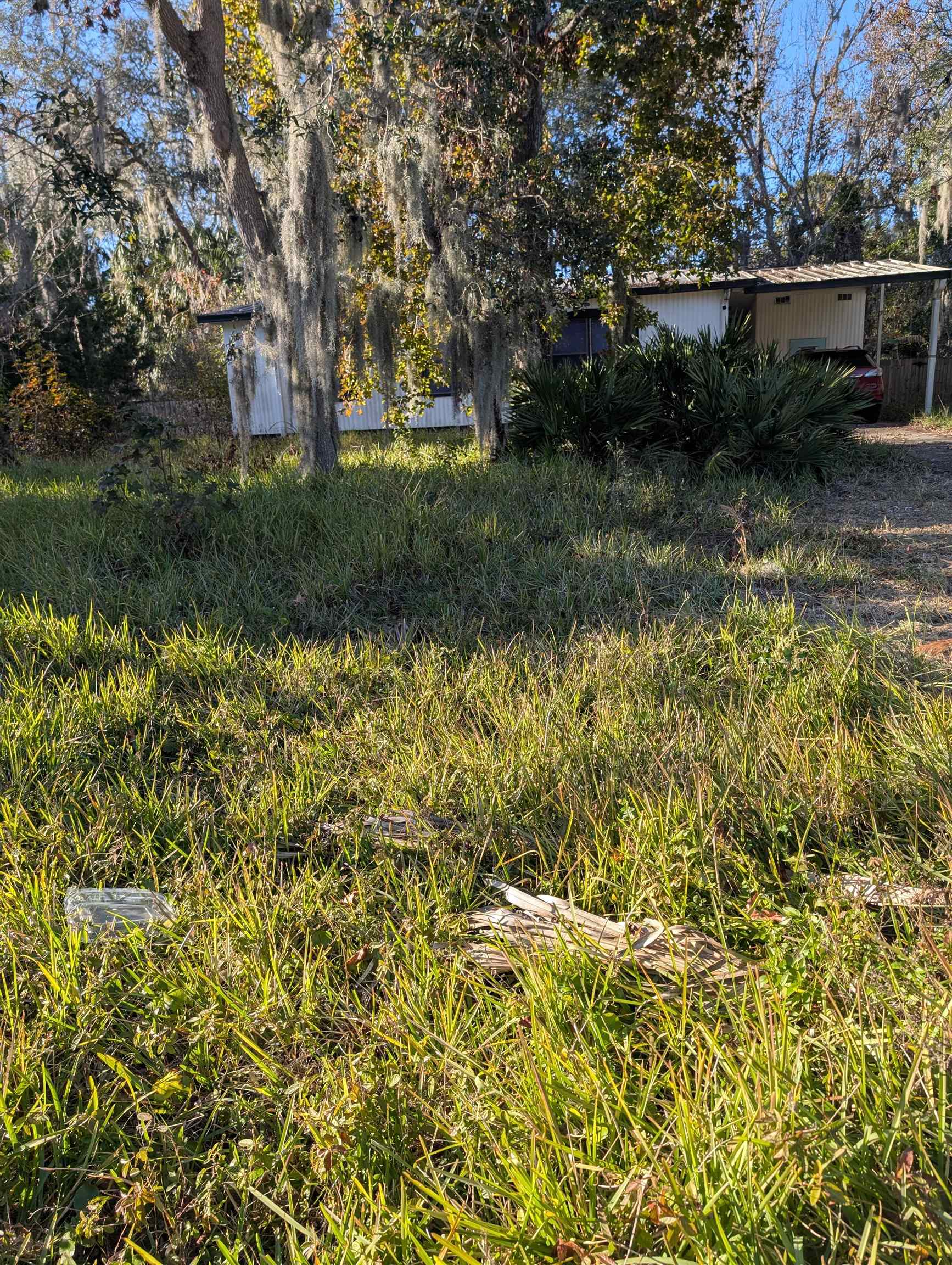2209 Twin Fox Trail St. Augustine, FL 32086 - Photo 3 of 8 a view of backyard with green space
