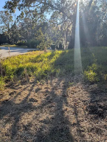 a view of a yard with a tree