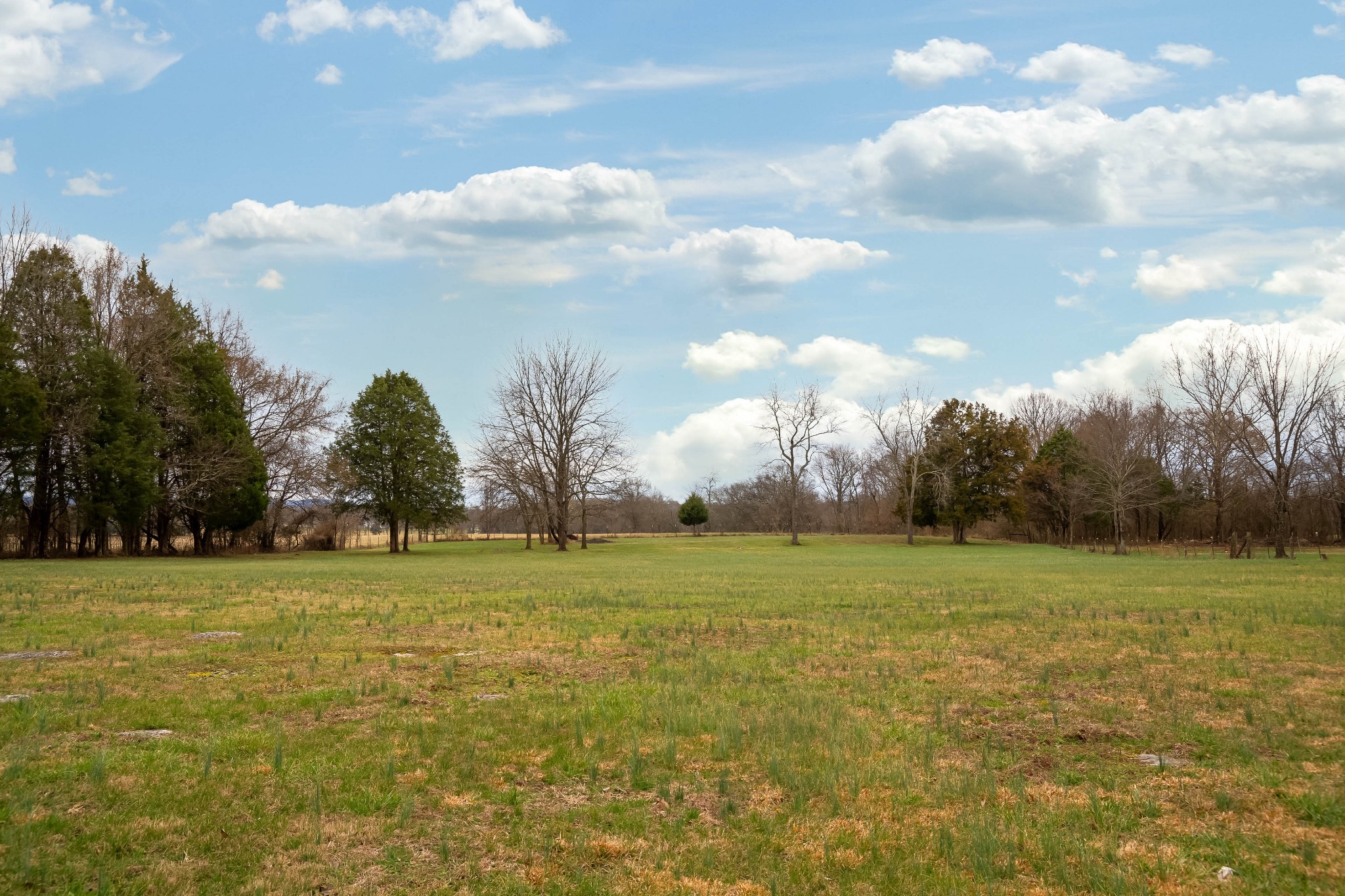 548 Goshen Road Lebanon, TN 37087 - Photo 22 of 23 a view of a field with an trees in the background
