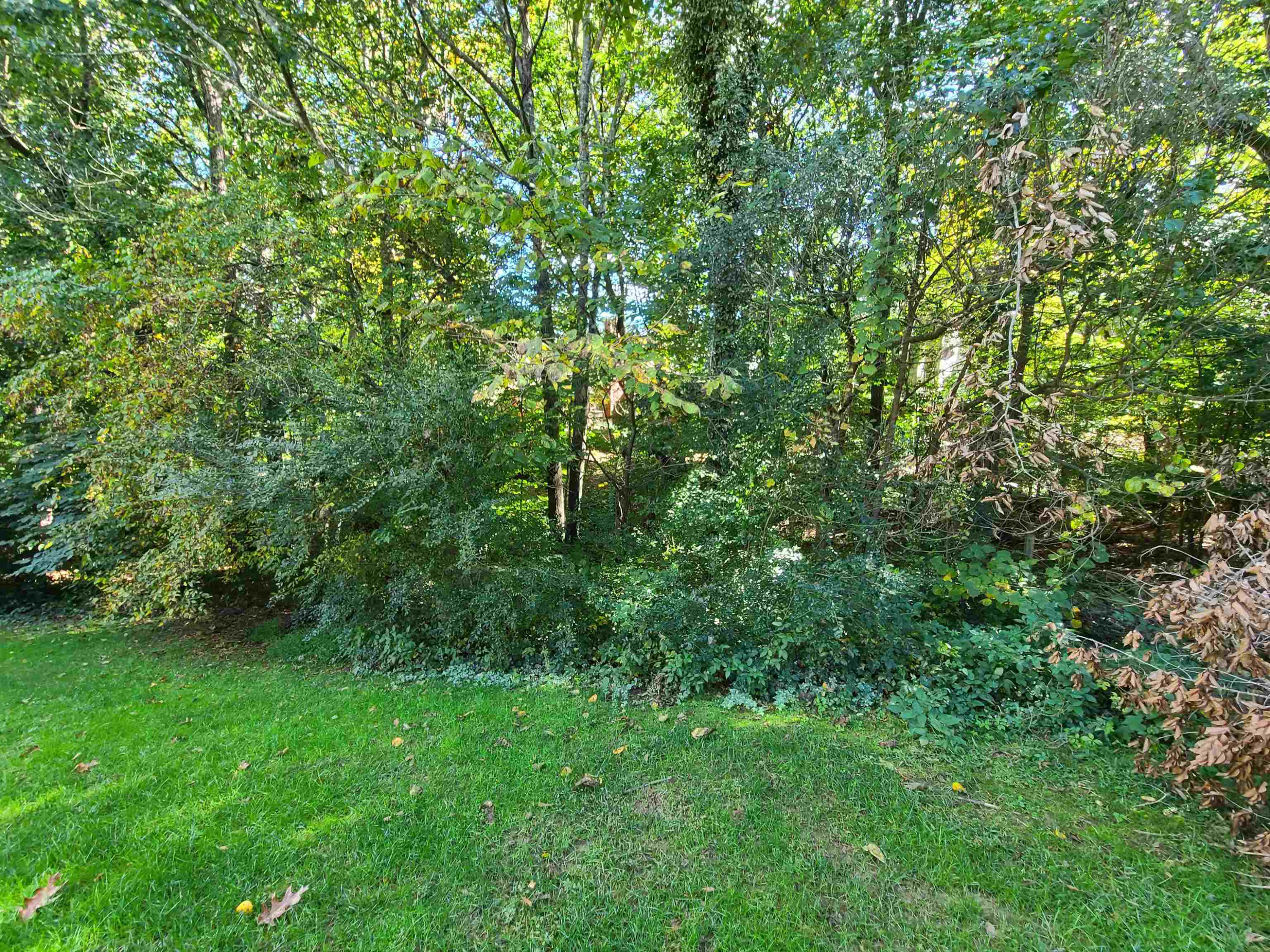 104 Shady Spring Place Durham, NC 27713 - Photo 28 of 28 Photo 29