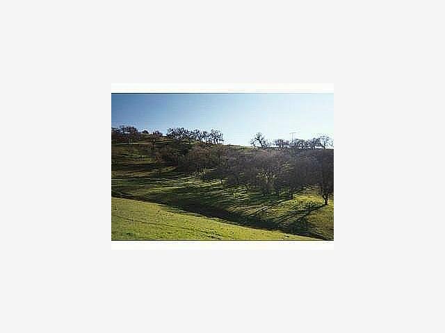 Lot 92 So Panoche Road Paicines, CA 95043 - Photo 4 of 5 Gallery Image 4