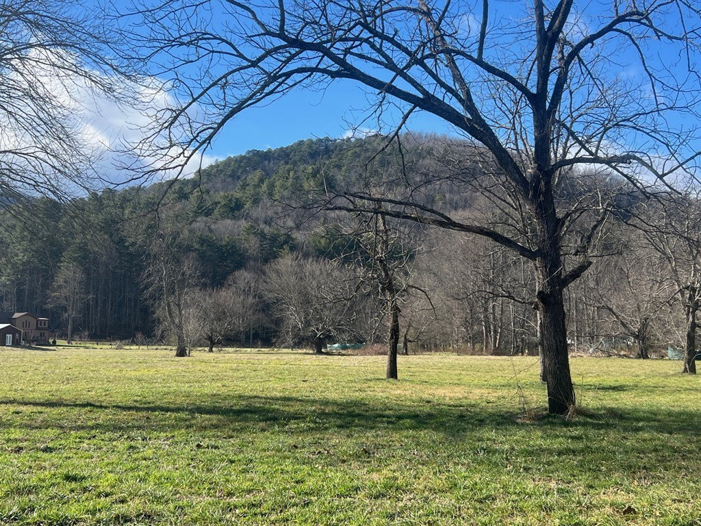 3 Riverside Meadows Hiawassee, GA 30546 - Photo 18 of 22