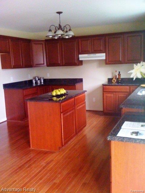 3891 Hazelton Avenue Rochester, MI 48307 - Photo 7 of 20 Kitchen Island.JPG