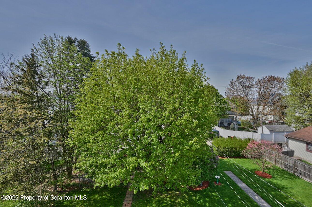 1115 Rundle Street Scranton, PA 18504 - Photo 72 of 73 Gallery Image 72
