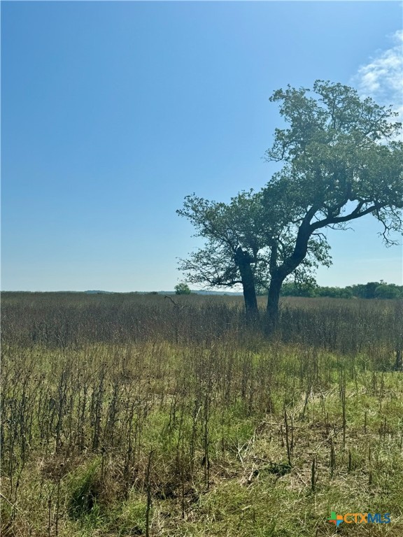 Tbd Lot 5 Tenney Creek Road Luling, TX 78648 - Photo 1 of 1 Gallery Image 1