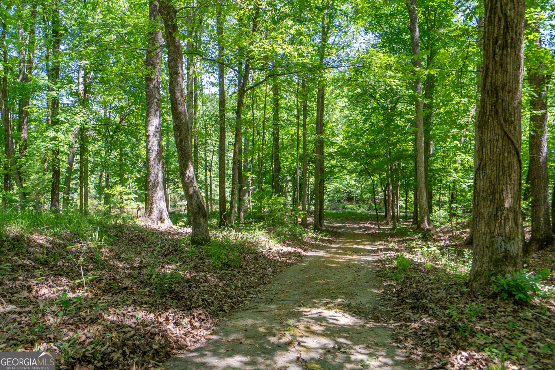 1491 Swords Trail Buckhead, GA 30625 - Photo 51 of 52 a view of outdoor space and trees all around