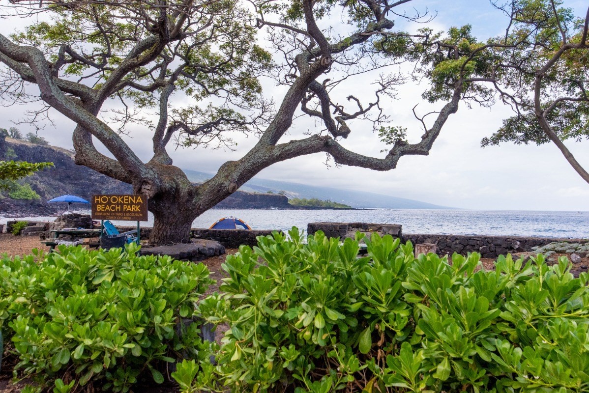 86-3694 Ho'okena Bch Road Captain Cook, HI 96704 - Photo 8 of 30 Gallery Image 8