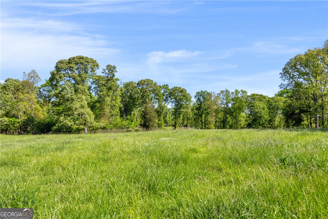 964 Gooseneck Road Eastanollee, GA 30538 - Photo 11 of 30