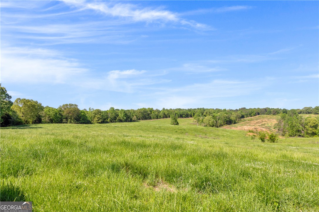 964 Gooseneck Road Eastanollee, GA 30538 - Photo 12 of 30