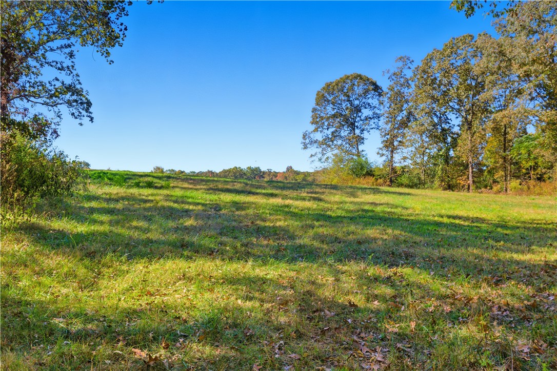 964 Gooseneck Road Eastanollee, GA 30538 - Photo 16 of 30