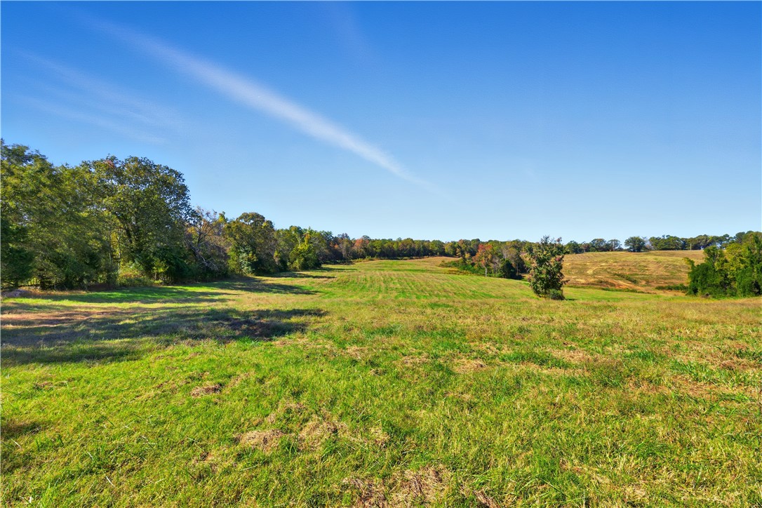 964 Gooseneck Road Eastanollee, GA 30538 - Photo 17 of 30