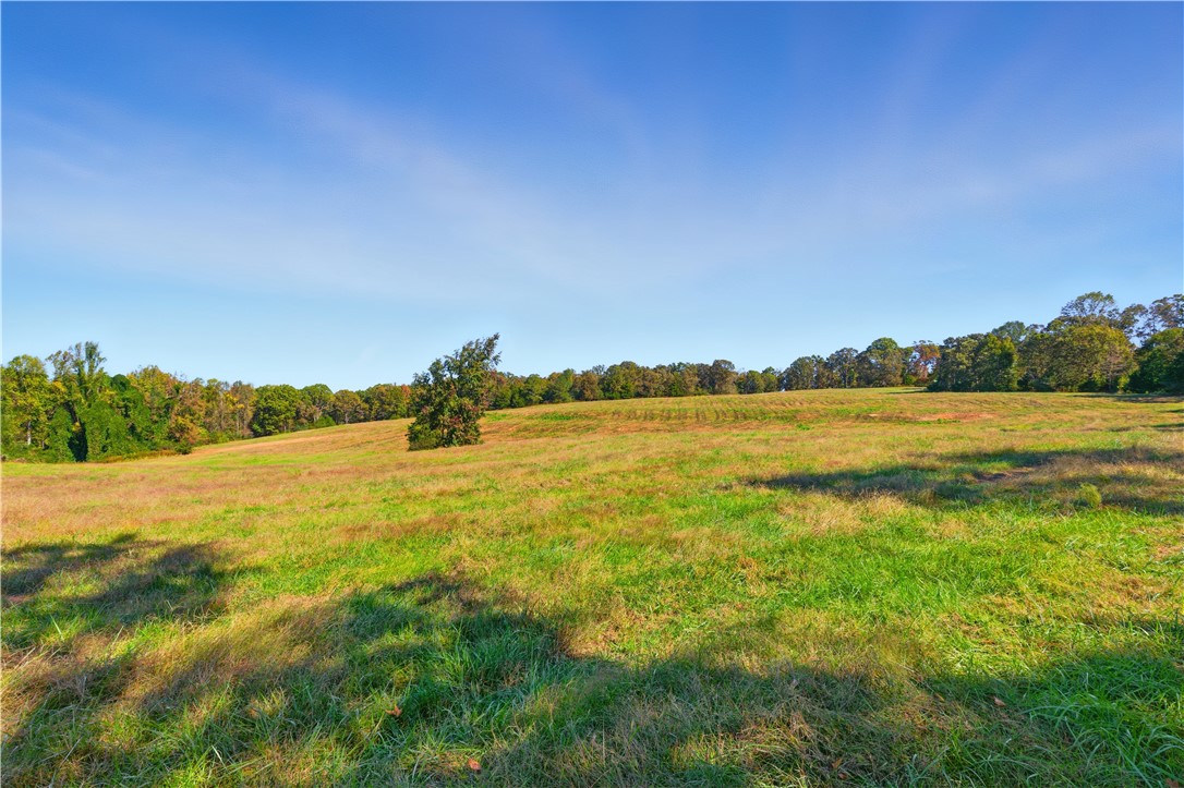 964 Gooseneck Road Eastanollee, GA 30538 - Photo 18 of 30