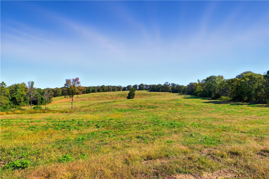 964 Gooseneck Road Eastanollee, GA 30538 - Photo 19 of 30