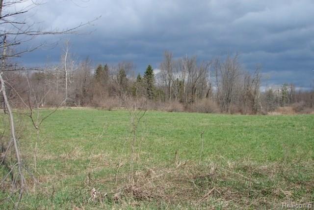 1 Sutton Road Metamora, MI 48455 - Photo 3 of 6 Sutton Road 3.jpg