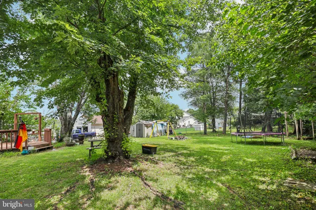 a view of a park with large trees
