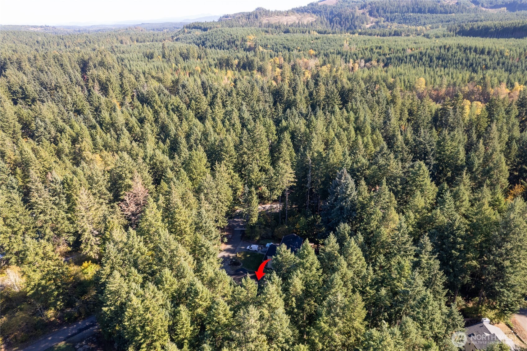 18441 Blue Hills Loop Southeast Yelm, WA 98597 - Photo 35 of 40