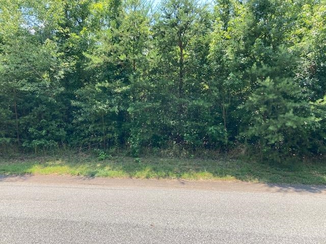 415 Lakewinds Boulevard Inman, SC 29349 - Photo 3 of 6