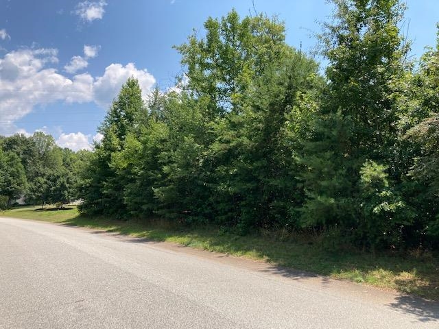 415 Lakewinds Boulevard Inman, SC 29349 - Photo 5 of 6