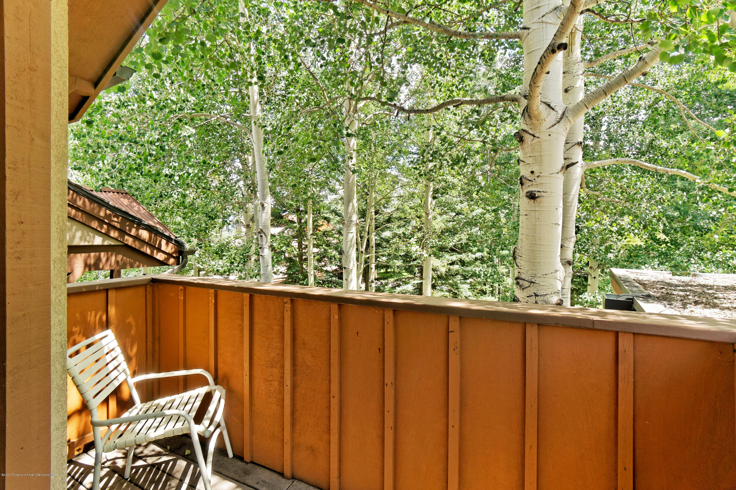 800 Ridge Road, Unit 9 Snowmass Village, CO 81615 - Photo 23 of 33 800RidgeRd#9_HiRes_20081108