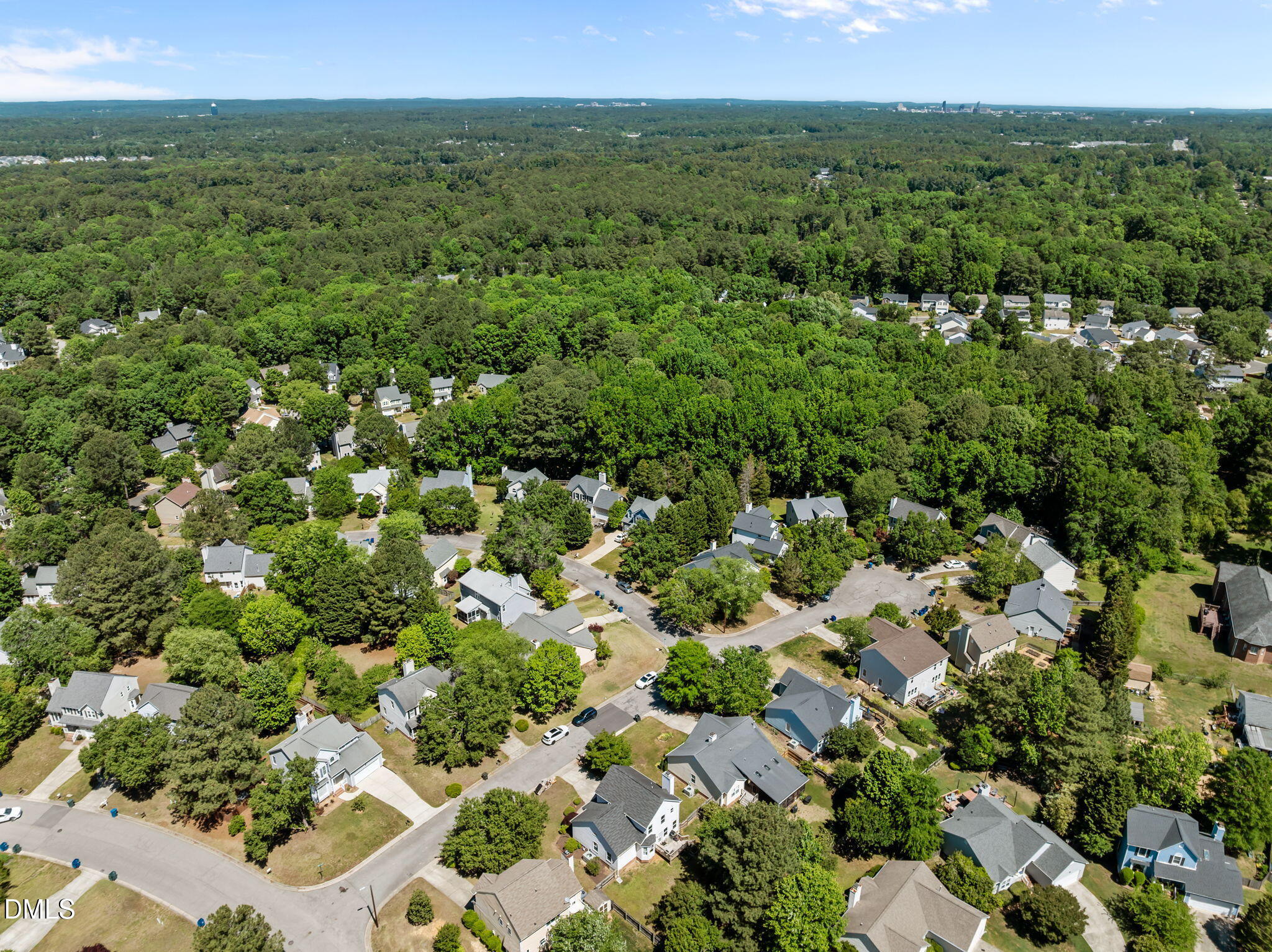 1 Rattan Bay Court Durham, NC 27713 - Photo 48 of 52 12-web-or-mls-DJI_0061