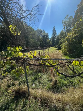 a view of a yard with wooden fence