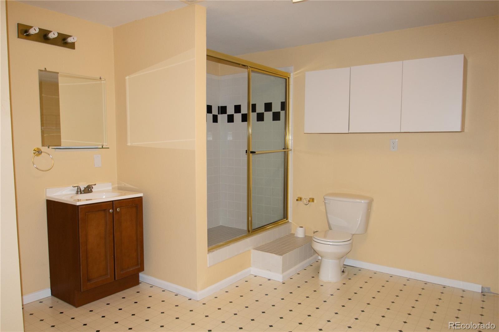 9608 South Castle Ridge Circle Highlands Ranch, CO 80129 - Photo 23 of 33 a bathroom with a sink a toilet and shower