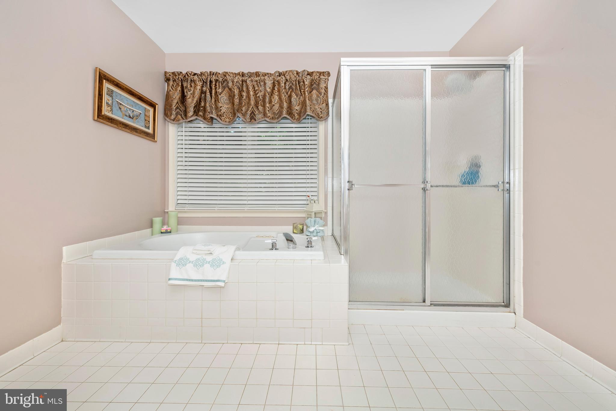 2511 Bear Den Road Frederick, MD 21701 - Photo 27 of 53 Separate shower and tub