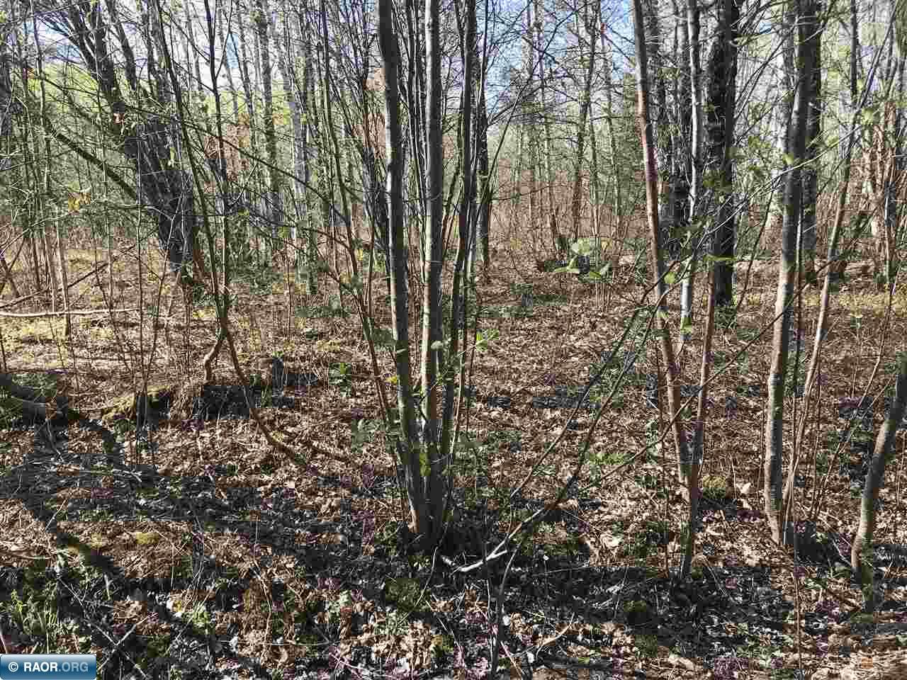 31264 Snowball Road Pengilly, MN 55775 - Photo 13 of 13