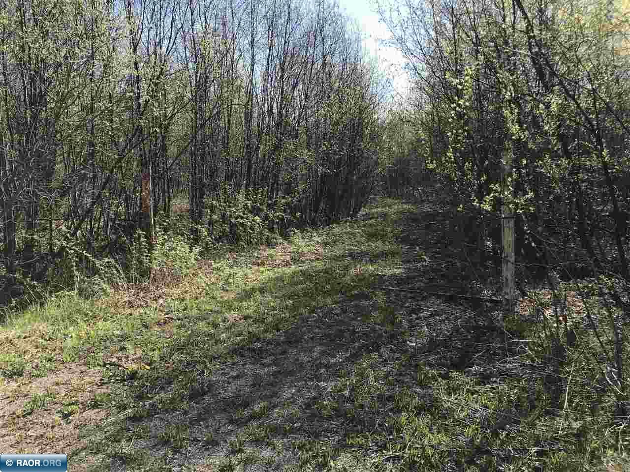 31264 Snowball Road Pengilly, MN 55775 - Photo 3 of 13