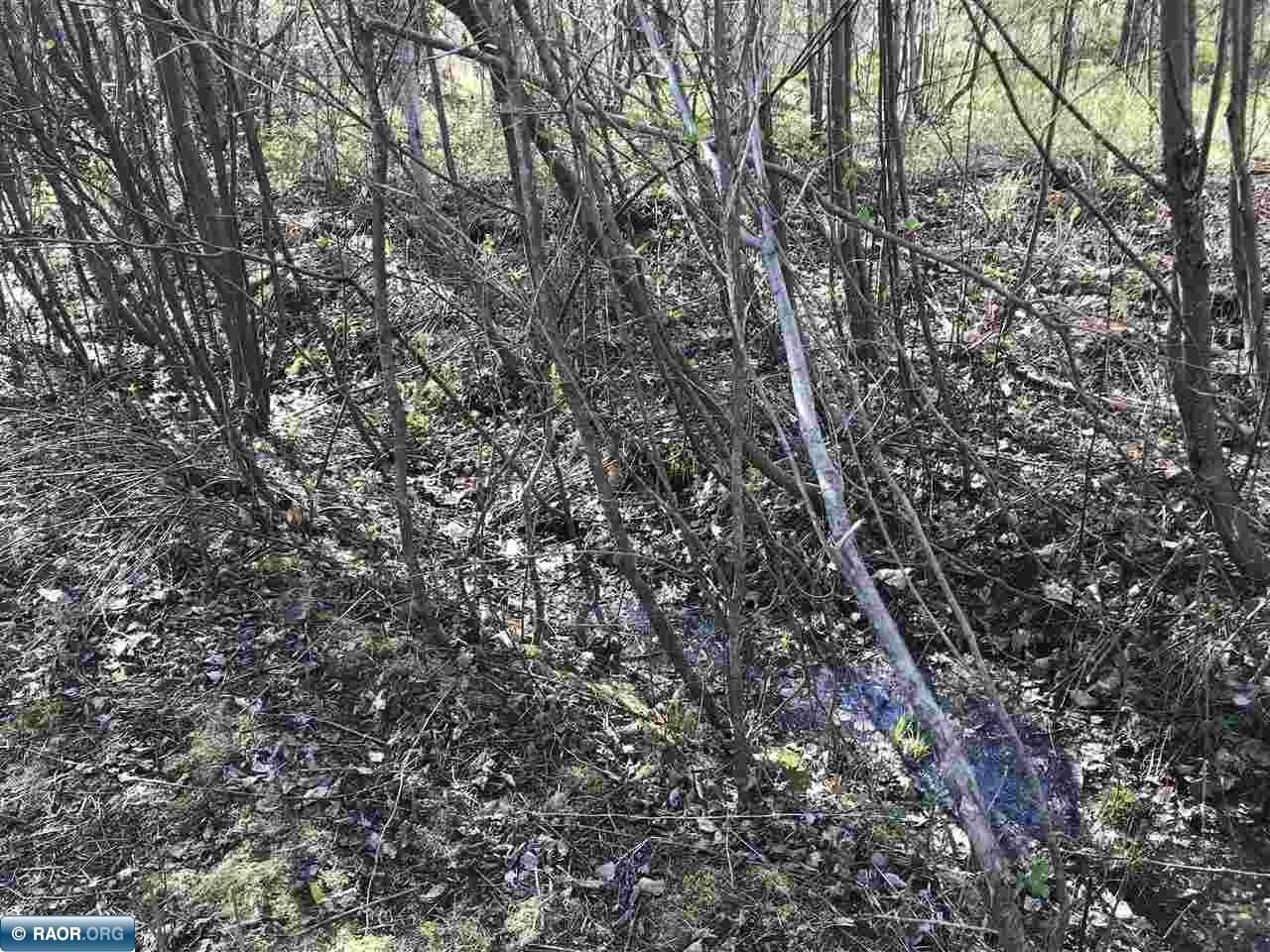 31264 Snowball Road Pengilly, MN 55775 - Photo 6 of 13